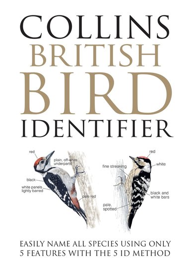 Paul Stancliffe, Jeff Baker - Collins British Bird Identifier, Häftad