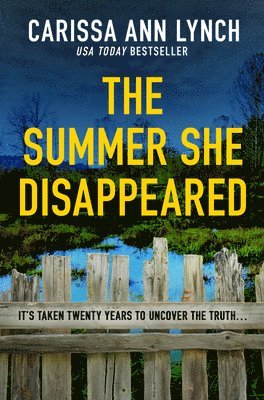 bokomslag Summer She Disappeared
