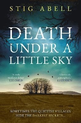 bokomslag Death Under a Little Sky