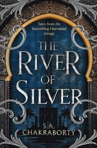 bokomslag The River of Silver