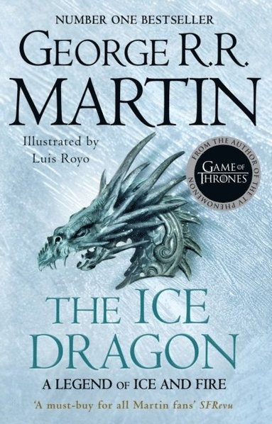 bokomslag The Ice Dragon