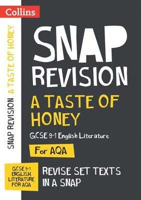 bokomslag A Taste of Honey AQA GCSE 9-1 English Literature Text Guide