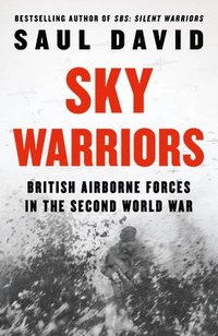 bokomslag Sky Warriors
