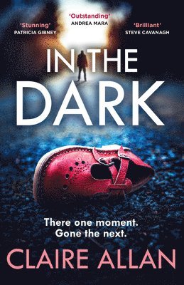 Claire Allan - In The Dark, Häftad