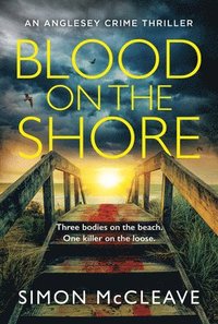 bokomslag Blood on the Shore