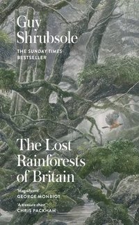 bokomslag The Lost Rainforests of Britain