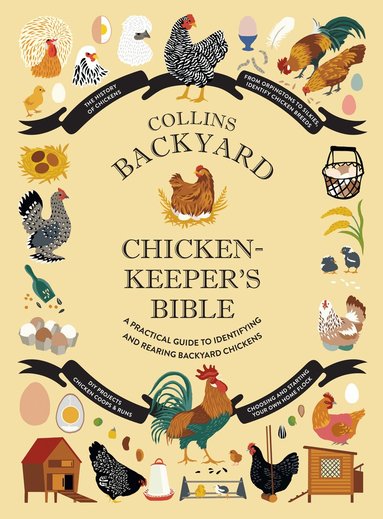 Jessica Ford, Rachel Federman, Sonya Patel Ellis - Collins Backyard Chicken-keeper’s Bible, Inbunden