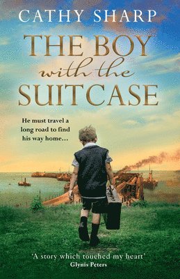 Cathy Sharp - Boy with the Suitcase, Häftad
