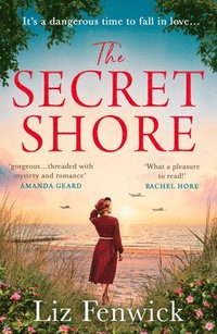 bokomslag The Secret Shore