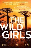 Phoebe Morgan - The Wild Girls, Häftad