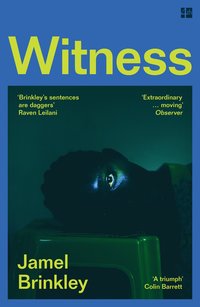 bokomslag Witness