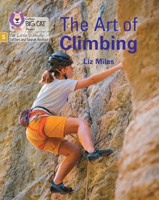 bokomslag The Art of Climbing