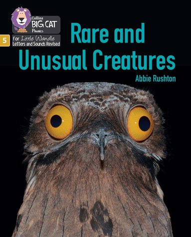 Abbie Rushton - Rare and Unusual Creatures, Häftad