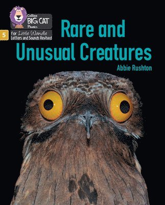 Rare and Unusual Creatures 1