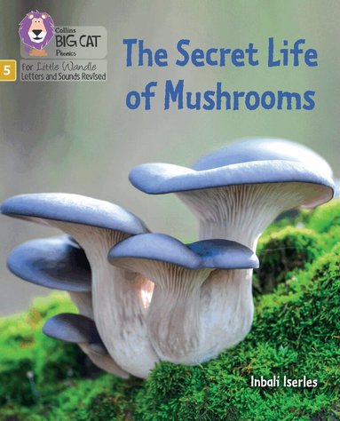 Inbali Iserles - Secret Life of Mushrooms, Häftad