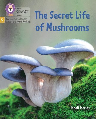 Inbali Iserles - Secret Life of Mushrooms, Häftad
