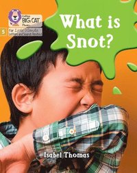 bokomslag What is snot?