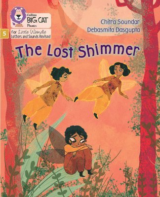bokomslag The Lost Shimmer