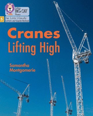Cranes Lifting High 1