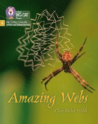 bokomslag Amazing Webs