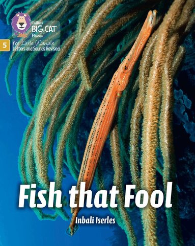 Inbali Iserles - Fish that Fool, Häftad