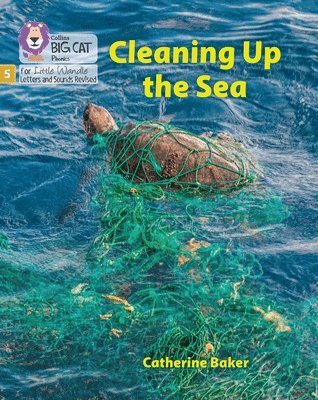 bokomslag Cleaning up the Sea