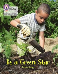 bokomslag Be a Green Star