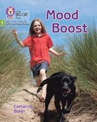 bokomslag Mood Boost