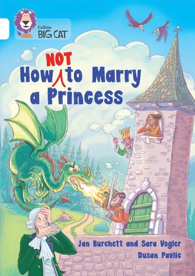 Jan Burchett, Sara Vogler - How Not to Marry a Princess, Häftad