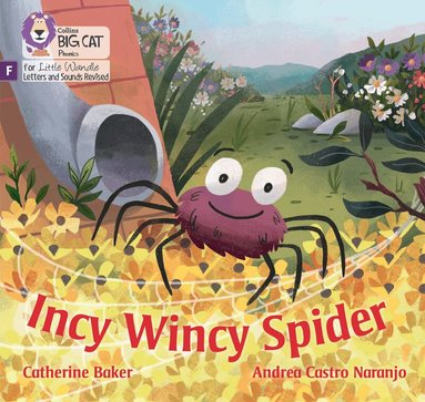 Catherine Baker - Incy Wincy Spider, Häftad
