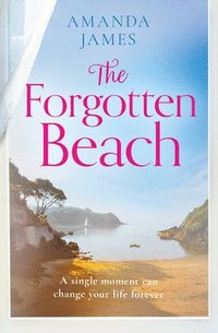 bokomslag The Forgotten Beach