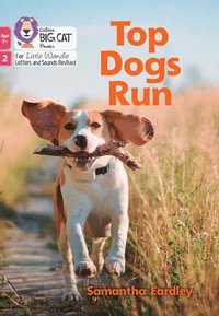 bokomslag Top Dogs Run