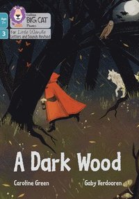 bokomslag A Dark Wood