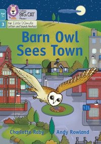 bokomslag Barn Owl Sees Town