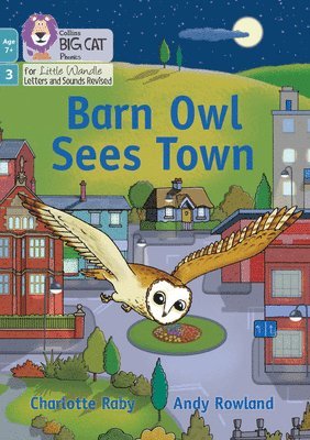 Barn Owl Sees Town 1