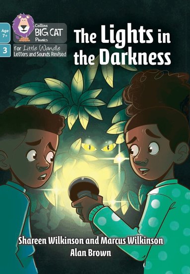 Shareen Wilkinson, Marcus Wilkinson - Lights in the Darkness, Häftad