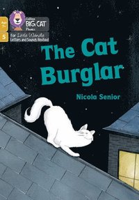 bokomslag The Cat Burglar