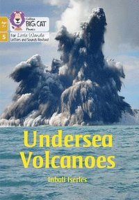 bokomslag Undersea Volcanoes