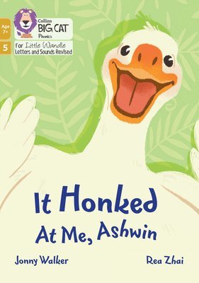 It Honked at Me, Ashwin 1