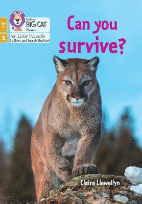Claire Llewellyn - Can you survive?, Häftad