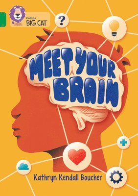 Meet Your Brain 1