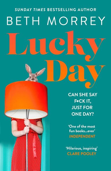 bokomslag Lucky Day