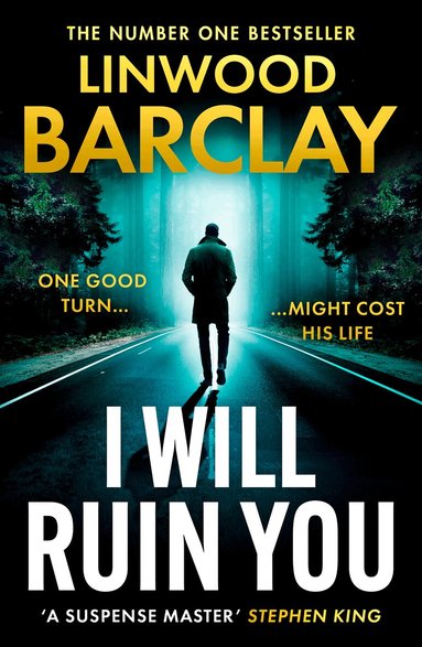 Linwood Barclay - I Will Ruin You, Häftad