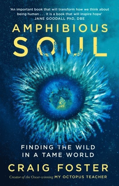 Amphibious Soul 1