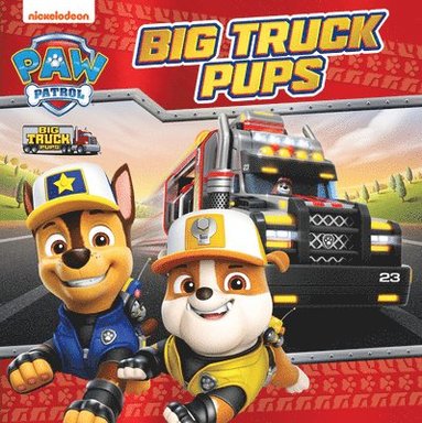 bokomslag PAW Patrol Big Truck Pups Picture Book