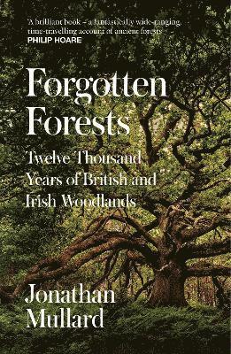Forgotten Forests