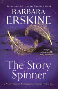 bokomslag The Story Spinner