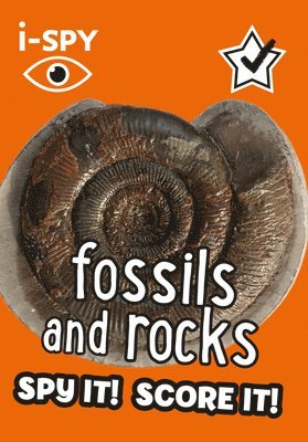 i-SPY Fossils and Rocks 1