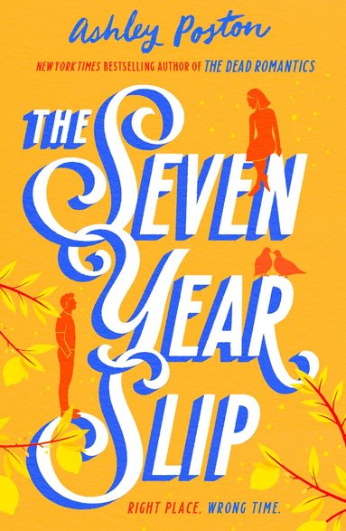 Ashley Poston - Seven Year Slip, Häftad