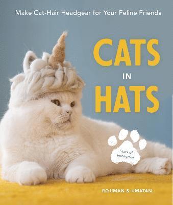 Cats in Hats 1